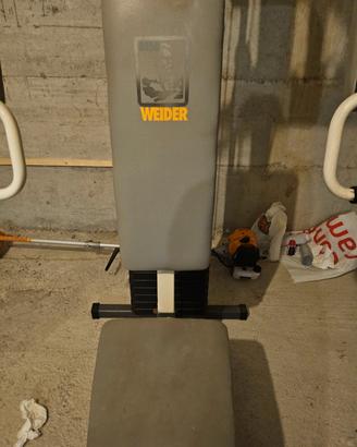 Palestra Weider
