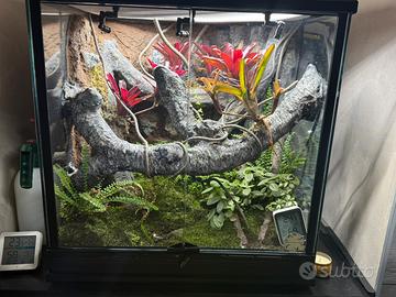 Terrario biattivo