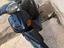 Immagine 1