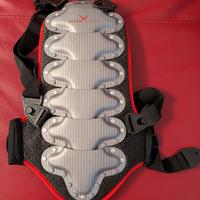 Paraschiena sci Black Crevice M