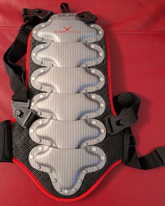 Paraschiena sci Black Crevice M