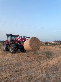 Fieno di Avena