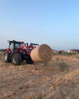 Fieno di Avena
