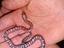 Immagine 3