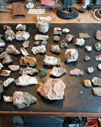 collezione di pietre e fossili vari