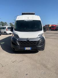 Citroen Jumper frigorifero passo lungo tetto alto
