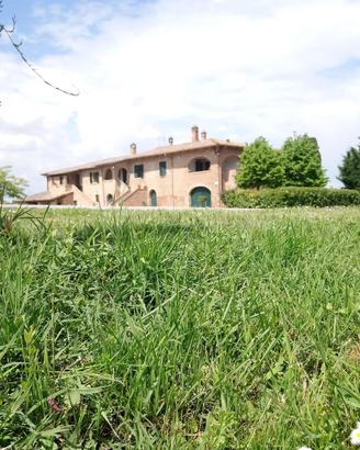 Agriturismo panoramico a Chianciano Terme