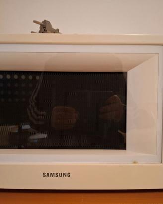 Forno a microonde