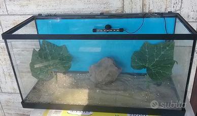 acquario, acquaterrario, paludario 100lt 80x42x30c