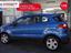 Immagine 15