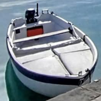 Barca in vtr 6 mt con motore selva 15 cv 4 Tempi