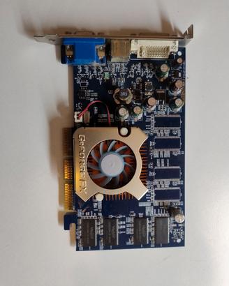 Scheda Video NVIDIA GeForce FX E RADEON HD 6450 1G