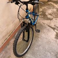Bici mtb 24