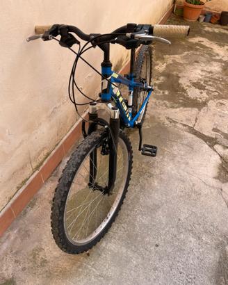 Bici mtb 24
