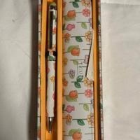 Penna Thun con astuccio