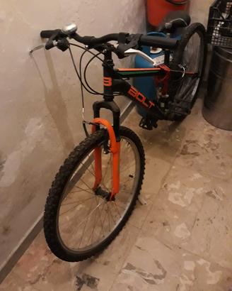 Bicicletta 