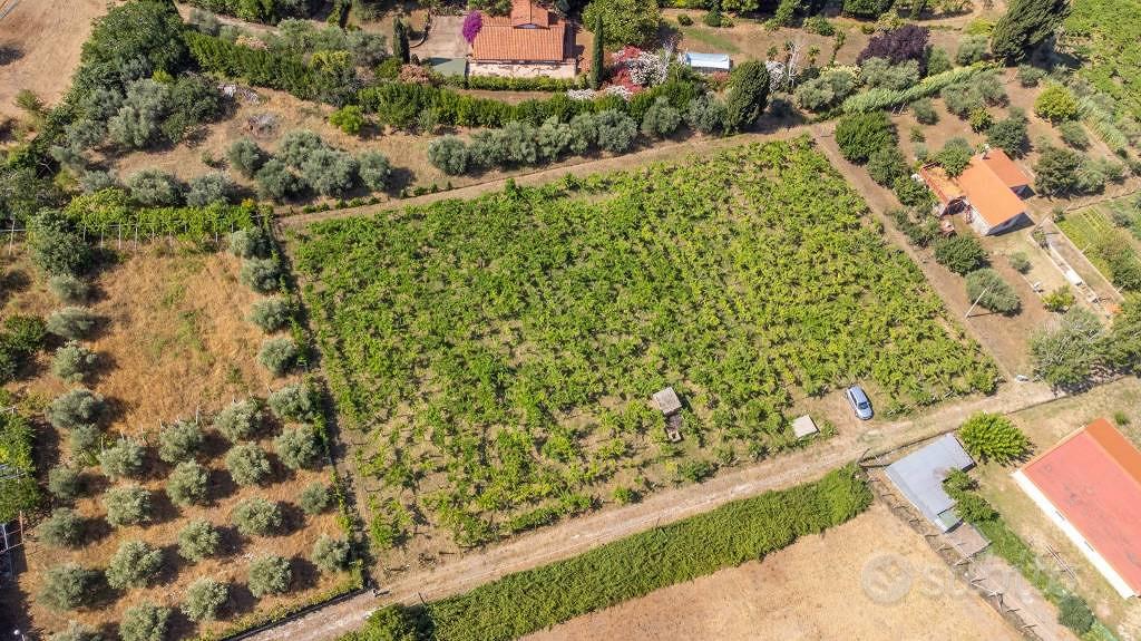 Terreno di 4230 m² a Grottaferrata - Vista 5
