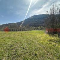 Terreno Agricolo Capriati a Volturno