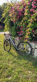 e-bike road 