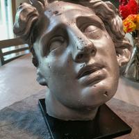 Scultura Testa di "Alessandro Magno Morente" H35cm