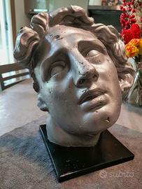 Scultura Testa di "Alessandro Magno Morente" H35cm