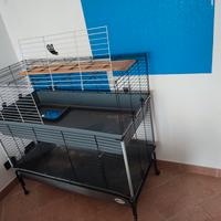 casetta coniglio/criceto 2 piani