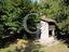 Immagine 11