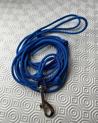 Guinzaglio per cani blu 