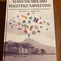 Nuovo vocabolario dialettale napoletano
