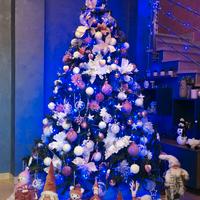 Albero di natale 