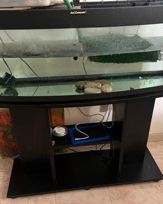 Acquario piu mobile