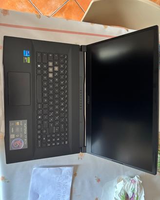 Msi katana 17b13v