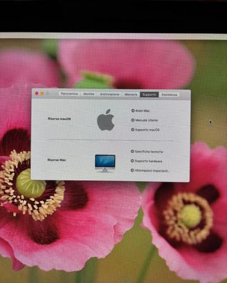 iMac macO High Sierra versione 10.13.6;