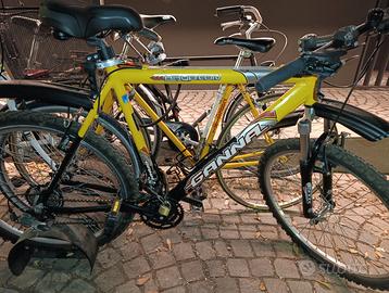 Mountain bike