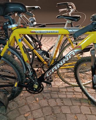 Mountain bike