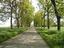Immagine 13