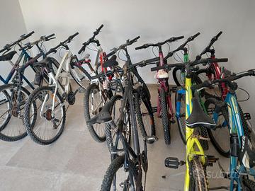 Biciclette Mountain bike