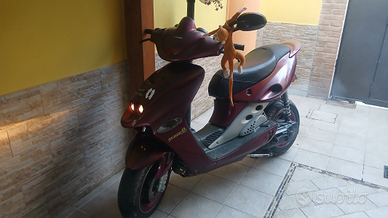 Firefox malaguti 75 funzionante