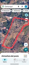 Terreno agricolo 6000 mq
