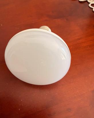 18 Lampade Led R80 bianco freddo + 4 R50