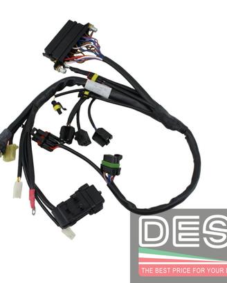 Cablaggio Impianto elettrico Destro Ducati 748 996