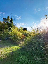 Terreno di ettari 3 zona Montenero (Pg) PT/118