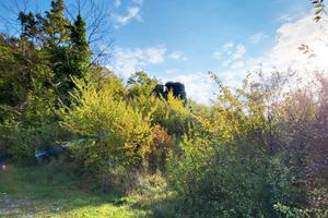 Terreno di ettari 3 zona Montenero (Pg) PT/118
