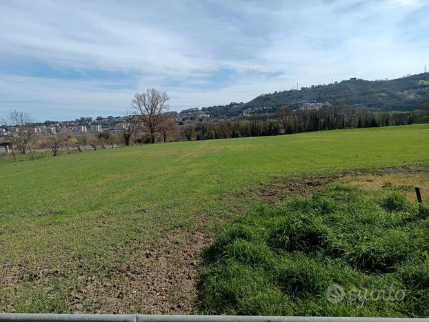 Terreno edificabile Zona Stadio