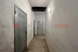 Cantina Pisa [L40VRG]