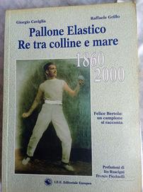 Pallone elastico re tra le colline e mare