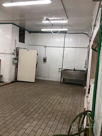 Magazzino/laboratorio alimentare C1