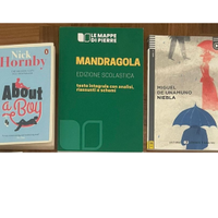 libri: Le Petit Prince, Mandragola, Niebla...