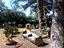 Immagine 5