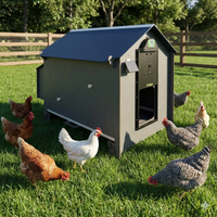 Pollaio casetta per 6 galline cassetto estraibile